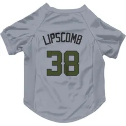 Washington Nationals Trey Lipscomb Gray Pet Jersey for Dog & Cat