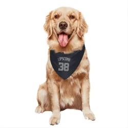 Washington Nationals Trey Lipscomb Navy Gray Pet Bandana for Dog & Cat