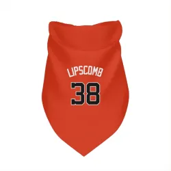 Washington Nationals Trey Lipscomb Orange Pet Bandana for Dog & Cat