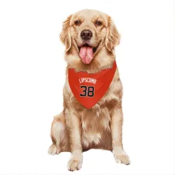 Washington Nationals Trey Lipscomb Orange Pet Bandana for Dog & Cat
