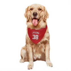 Washington Nationals Trey Lipscomb Red Pet Bandana for Dog & Cat