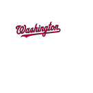 Washington Store